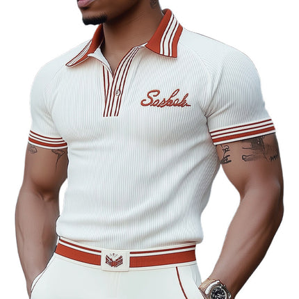 Men's Polo Collar Knitted T-Shirt | Summer Fashion Short Sleeve | Classic Style | Breathable Material | Versatile Casual and Semi-Formal Wear | Ideal for Warm Weather | Comfortable Fit | Multiple Sizes Available