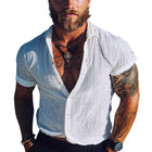 Men's Short Sleeve Striped Textured Lapel Shirt | High-Quality Fabric | Breathable & Lightweight | Stylish Elegant Design | Versatile Casual to Semi-Formal | Comfortable Fit | Perfect for Modern Man's Wardrobe