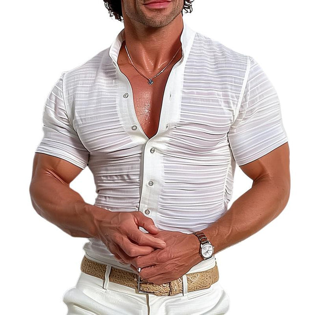 Men's Casual Shirt | Solid Color | Stand Collar | Short Sleeve | Button Down | High-Quality Fabric Blend | Versatile Timeless Design | Manlytshirt